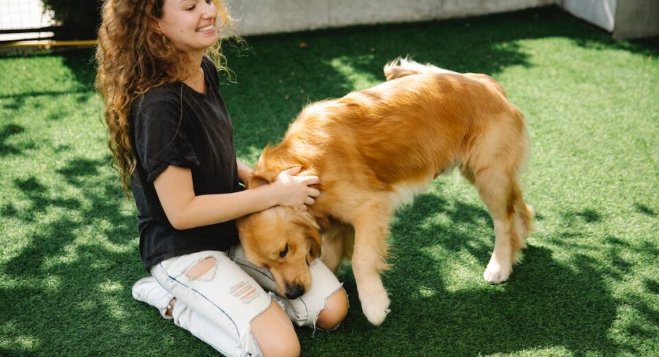 Essential Garden Safety Tips for Pet Owners